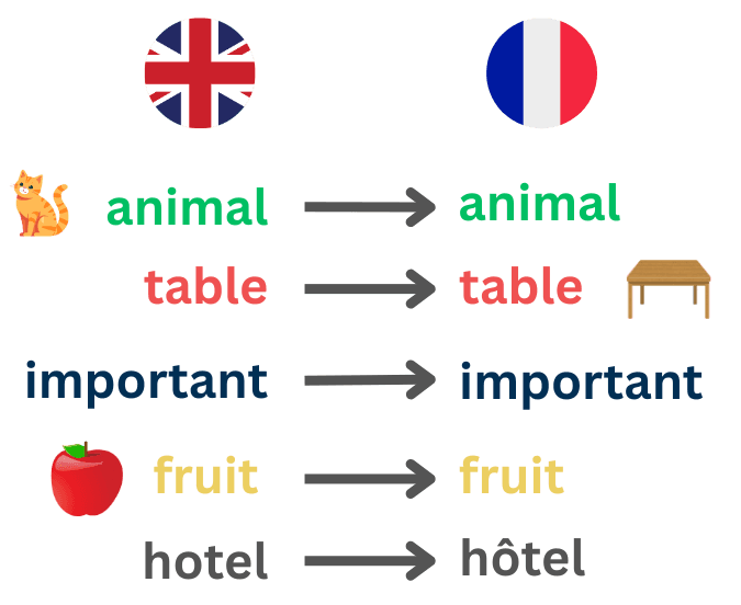 Learn language image