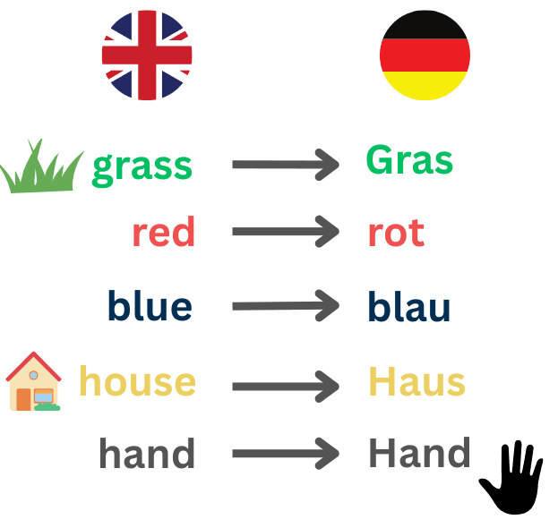 Learn language image
