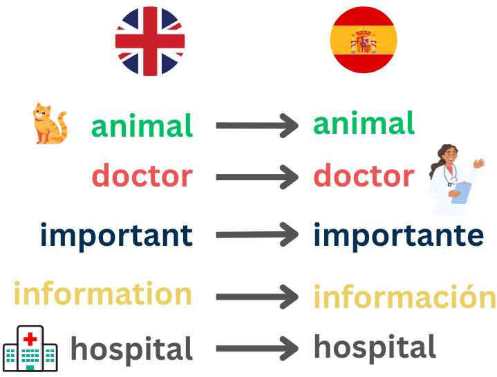 Learn language image